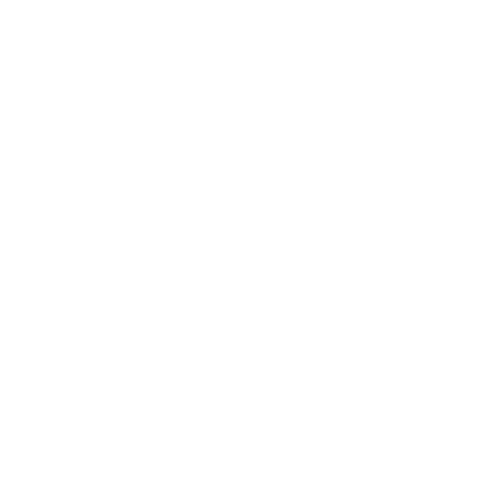 computer icon with graphs